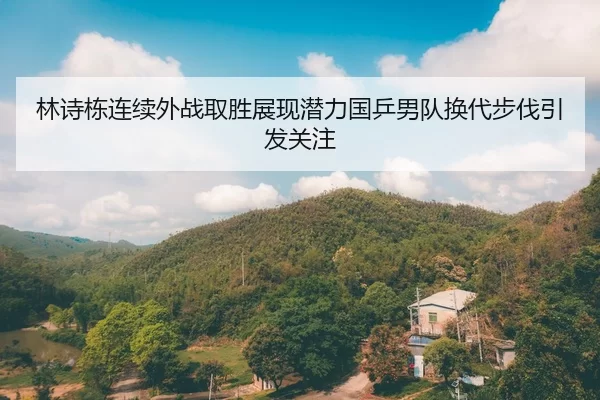 林诗栋连续外战取胜展现潜力国乒男队换代步伐引发关注