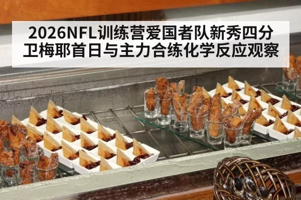 2026NFL训练营爱国者队新秀四分卫梅耶首日与主力合练化学反应观察