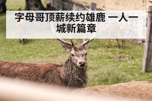 字母哥顶薪续约雄鹿 一人一城新篇章 | leyu