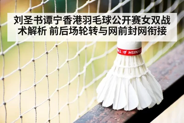badminton net play close up